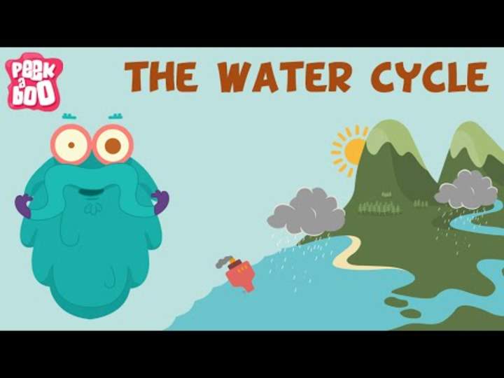 El ciclo del agua | El show del Dr. Binocs