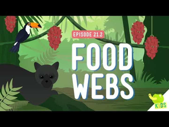 Webs de alimentos