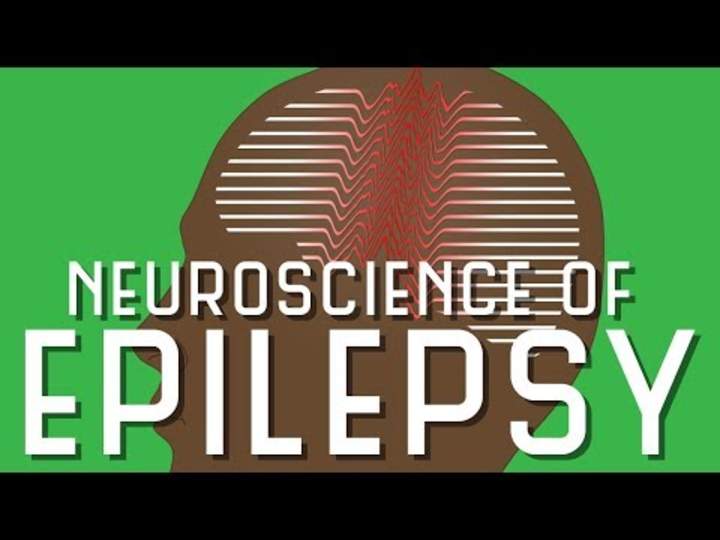 Neurociencia de la epilepsia