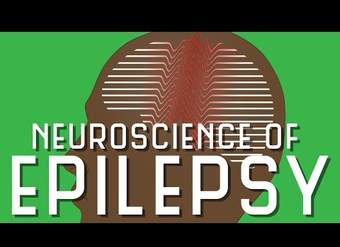 Neurociencia de la epilepsia