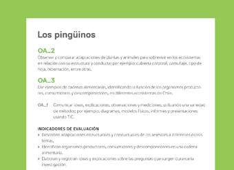 Ejemplo Evaluación Programas - OA02 - OA03 - Los pingüinos