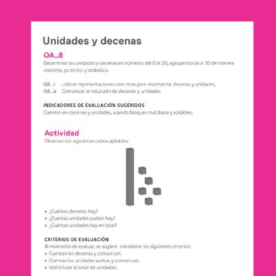 Ejemplo Evaluación Programas - OA08 - Unidades y decenas