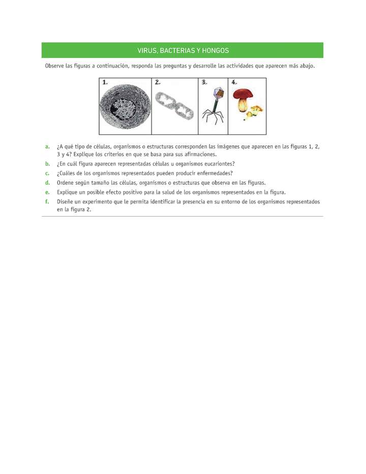 Evaluación Programas - CN07 OA05 - U3 - VIRUS, BACTERIAS Y HONGOS