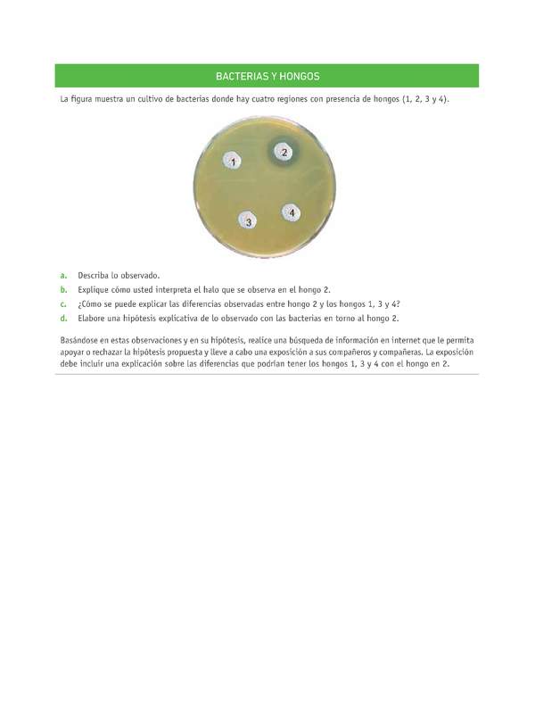 Evaluación Programas - CN07 OA06 - U3 - BACTERIAS Y HONGOS