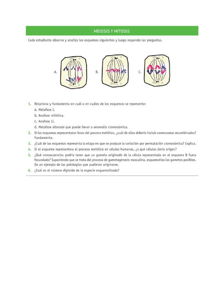 Evaluación Programas - CN2M - OA06 - U3 - MEIOSIS Y MITOSIS