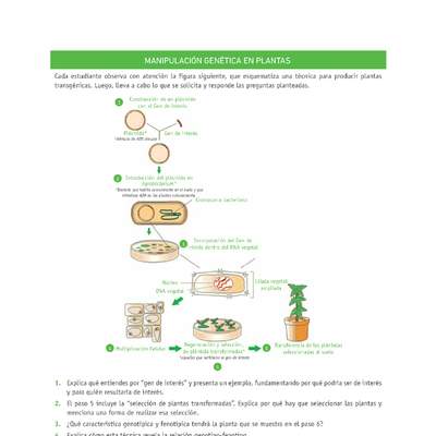 Evaluación Programas - CN2M - OA08 - U4 - MANIPULACIÓN GENÉTICA EN PLANTAS