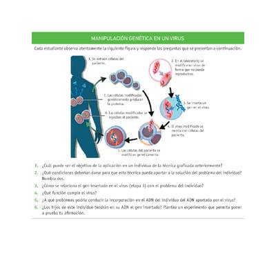 Evaluación Programas - CN2M - OA08 - U4 - MANIPULACIÓN GENÉTICA EN UN VIRUS