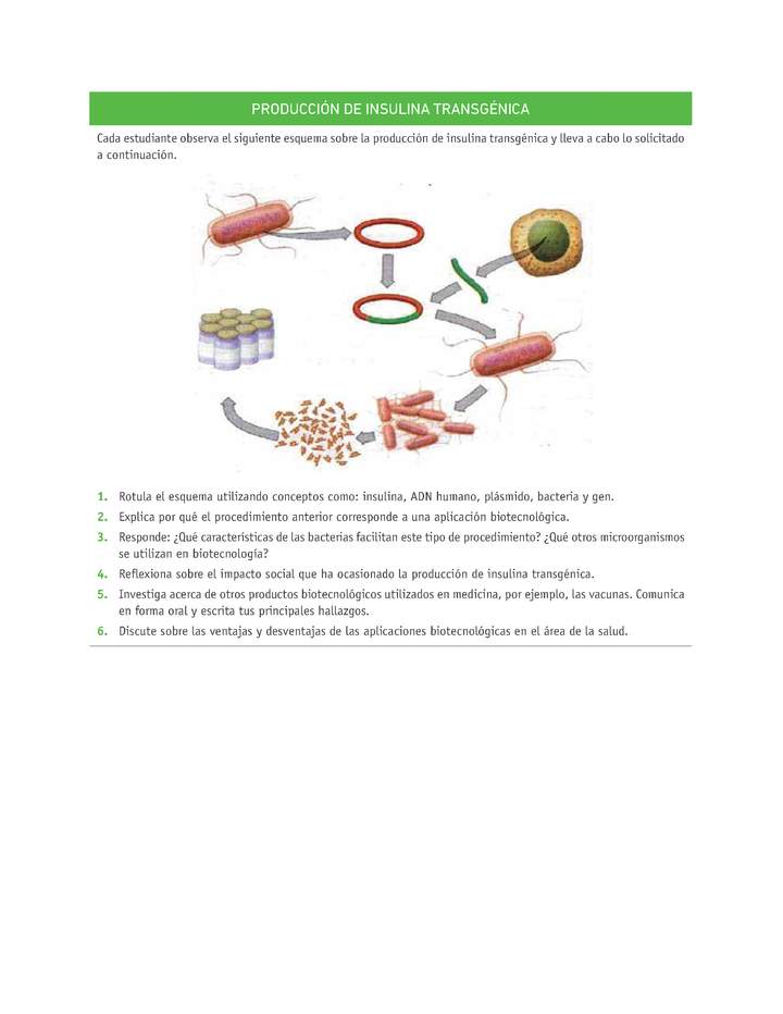 Evaluación Programas - CN2M - OA08 - U4 - PRODUCCIÓN DE INSULINA TRANSGÉNICA