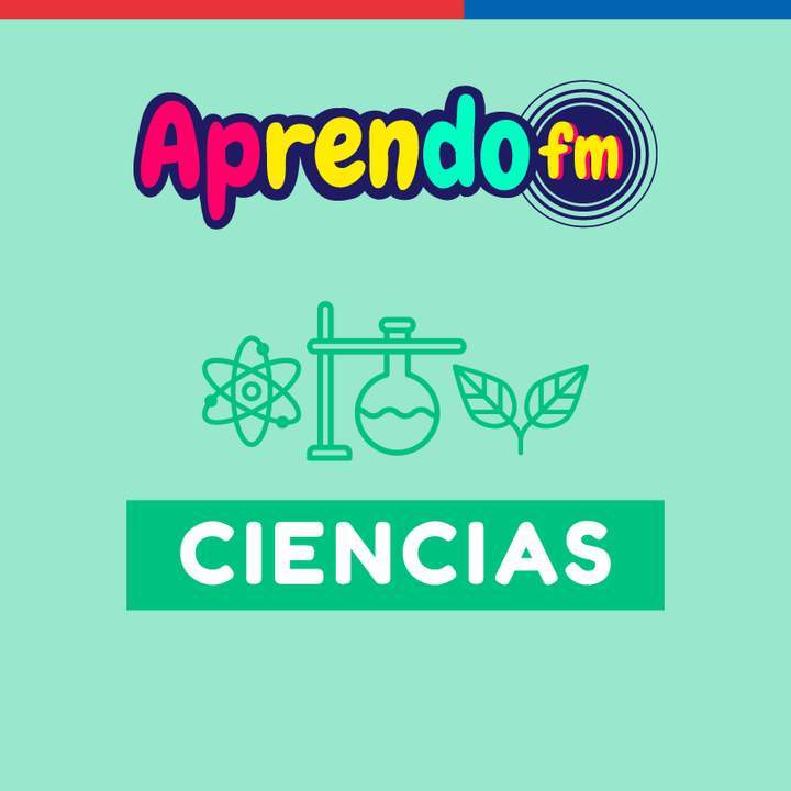 AprendoFM: Ciencias - 7° OA12 - Cápsula 135 - Clima y cambio climático