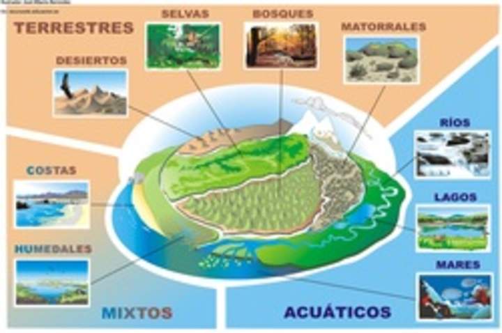 Tipos de ecosistemas