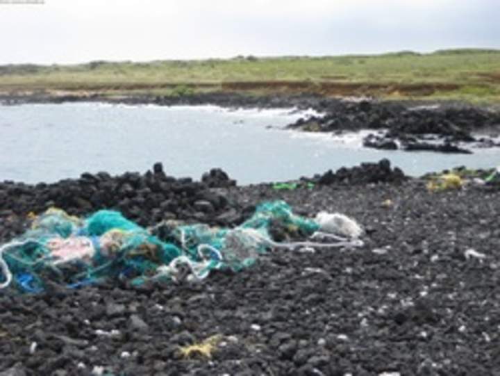 Contaminación en playa