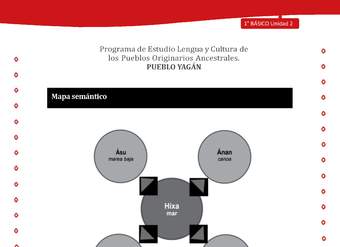 Orientaciones para el educador - LC01 -YAG - Unidad 2 - Mapa Semántico