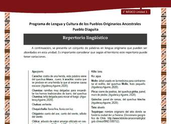 Repertorio lingüístico