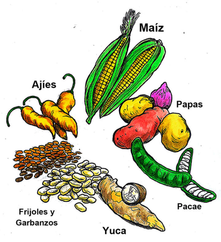 Productos agrícolas incas