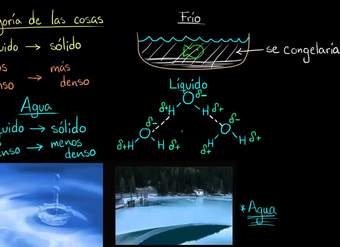 Agua líquida más densa que el agua sólida (hielo) | Biología | Khan Academy en Español