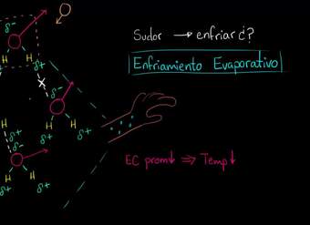 Enfriamiento evaporativo | Agua, ácidos y bases | Biología | Khan Academy en Español