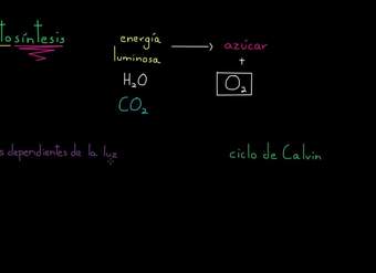 Análisis de las etapas de la fotosíntesis | Biología | Khan Academy en Español