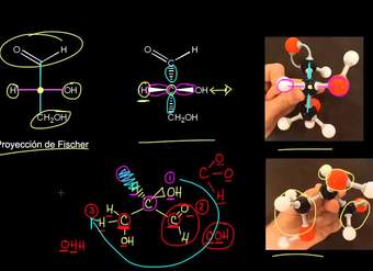 Introducción a la proyección de Fischer | Química orgánica | Khan Academy en Español