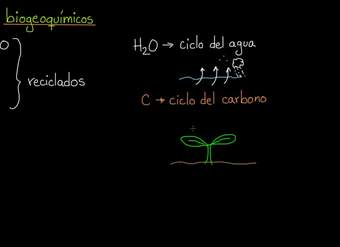 Repaso de los ciclos biogeoquímicos | Ecología | Biología | Khan Academy en Español