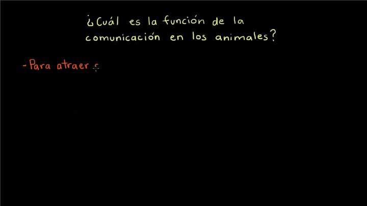 Comunicación animal | Biología | Khan Academy en Español