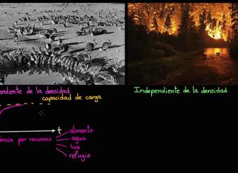 Regulación de la población | Ecología | Biología | Khan Academy en Español