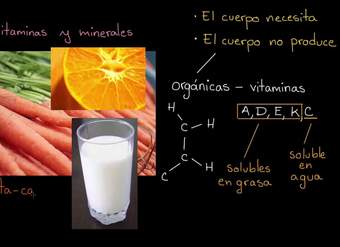 Introducción a las vitaminas y los minerales | Khan Academy en Español