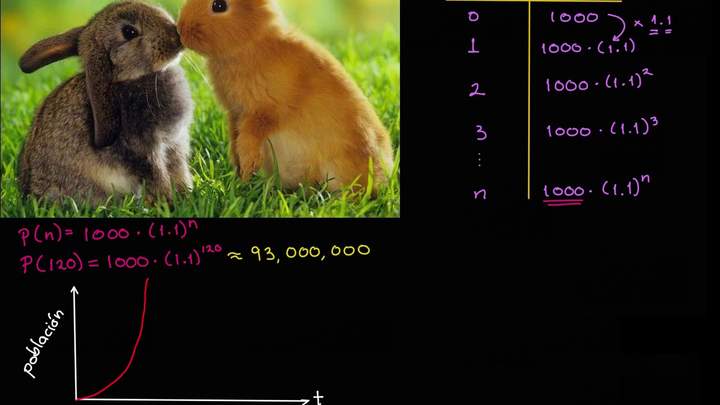 Crecimiento logístico y exponencial de la población | Biología | Khan Academy en Español