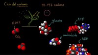 El ciclo del carbono | Ecología | Biología | Khan Academy en Español