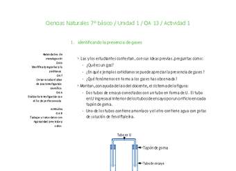 Ciencias Naturales 7° básico-Unidad 1-OA13-Actividad 1