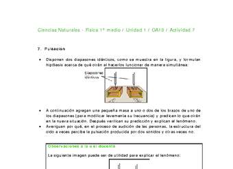 Ciencias Naturales 1 medio-Unidad 1-OA10-Actividad 7