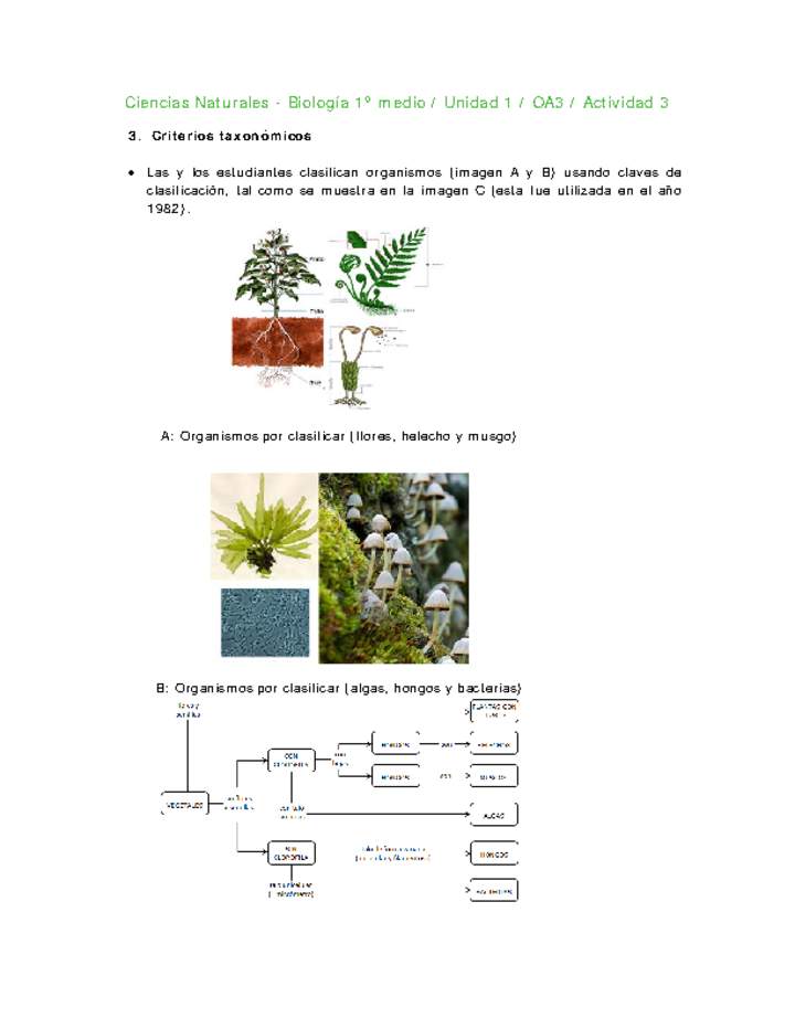 Ciencias Naturales 1 medio-Unidad 1-OA3-Actividad 3