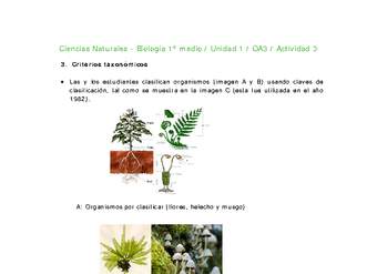 Ciencias Naturales 1 medio-Unidad 1-OA3-Actividad 3