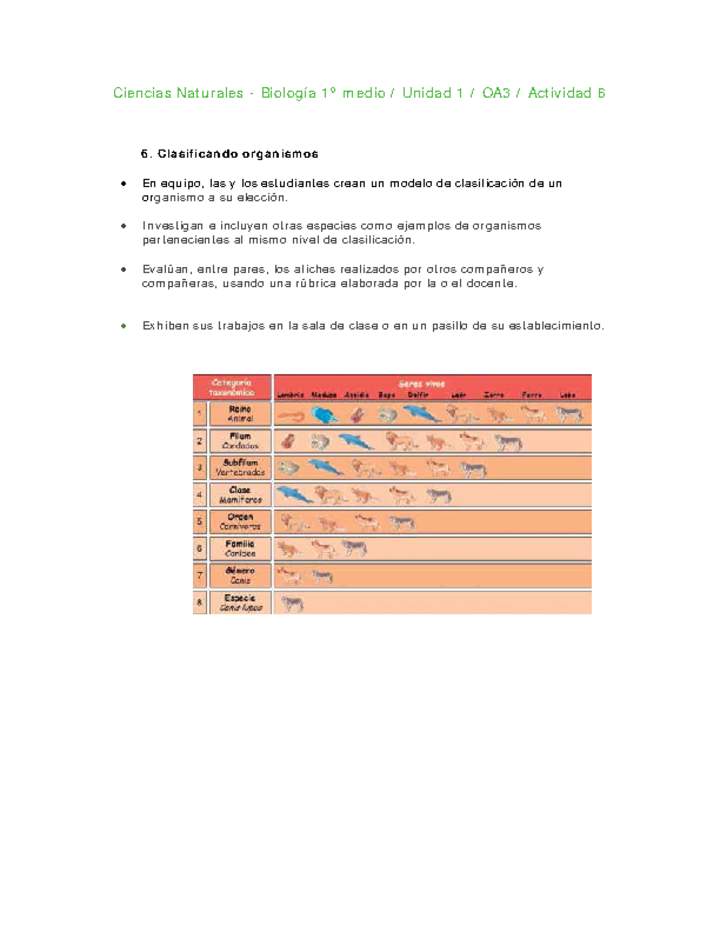 Ciencias Naturales 1 medio-Unidad 1-OA3-Actividad 6