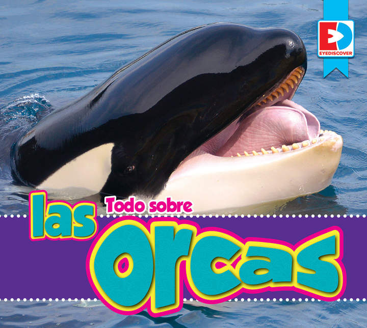 Todo sobre las orcas