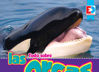 Todo sobre las orcas