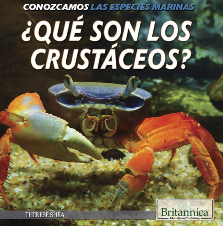 ¿Qué son los crustáceos? (What Are Crustaceans?)