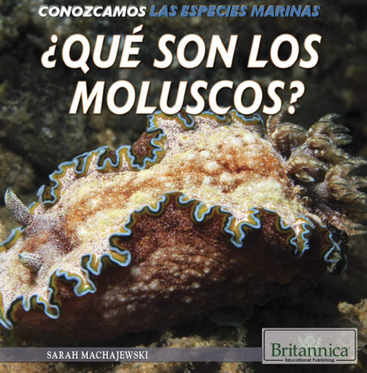 ¿Qué son los moluscos? (What Are Mollusks?)