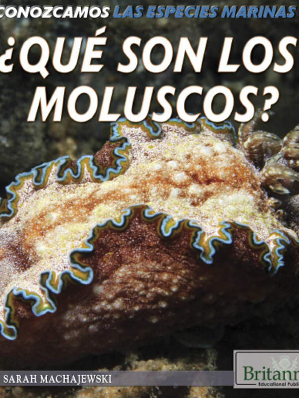 ¿Qué son los moluscos? (What Are Mollusks?)