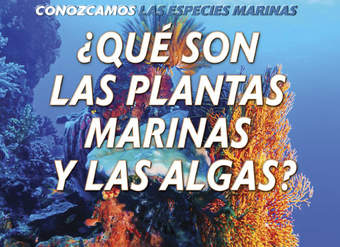 Qué son las plantas marinas y las algas? (What Are Sea Plants and