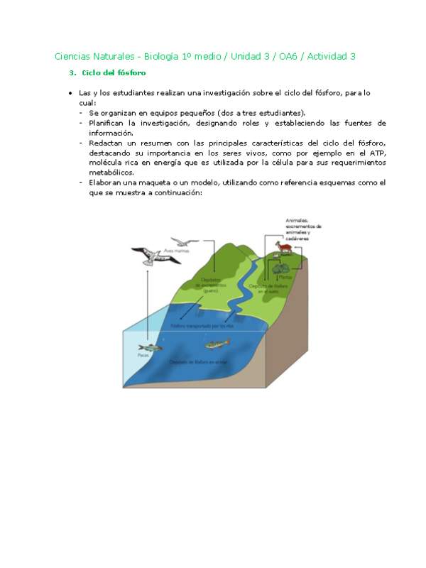 Ciencias Naturales 1 medio-Unidad 3-OA6-Actividad 3