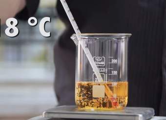 Efecto de la Temperatura en la Solubilidad de los Gases