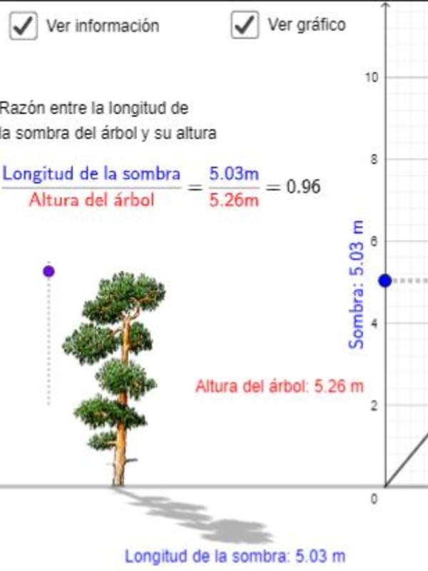 Arbolito: proporcionalidad directa