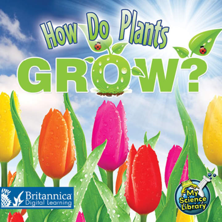 How Do Plants Grow?