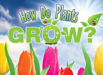 How Do Plants Grow?