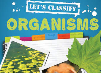 Let's Classify Organisms