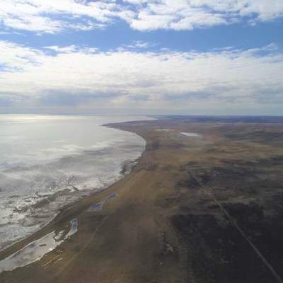 Bahía Lomas, Primavera.