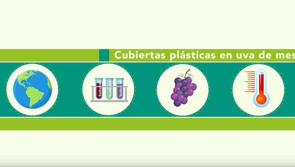 Tecnología de las cubiertas plásticas en vides