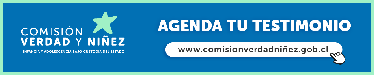 https://www.comisionverdadninez.gob.cl/