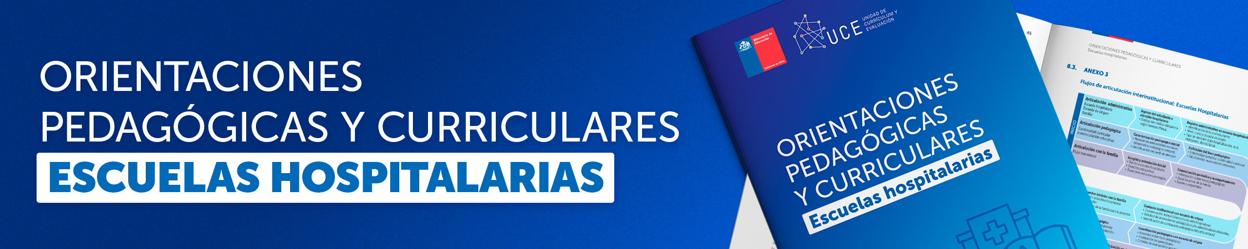 Orientaciones pedagógicas y curriculares